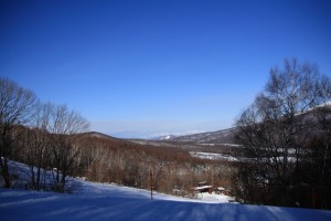 IMG_4120
